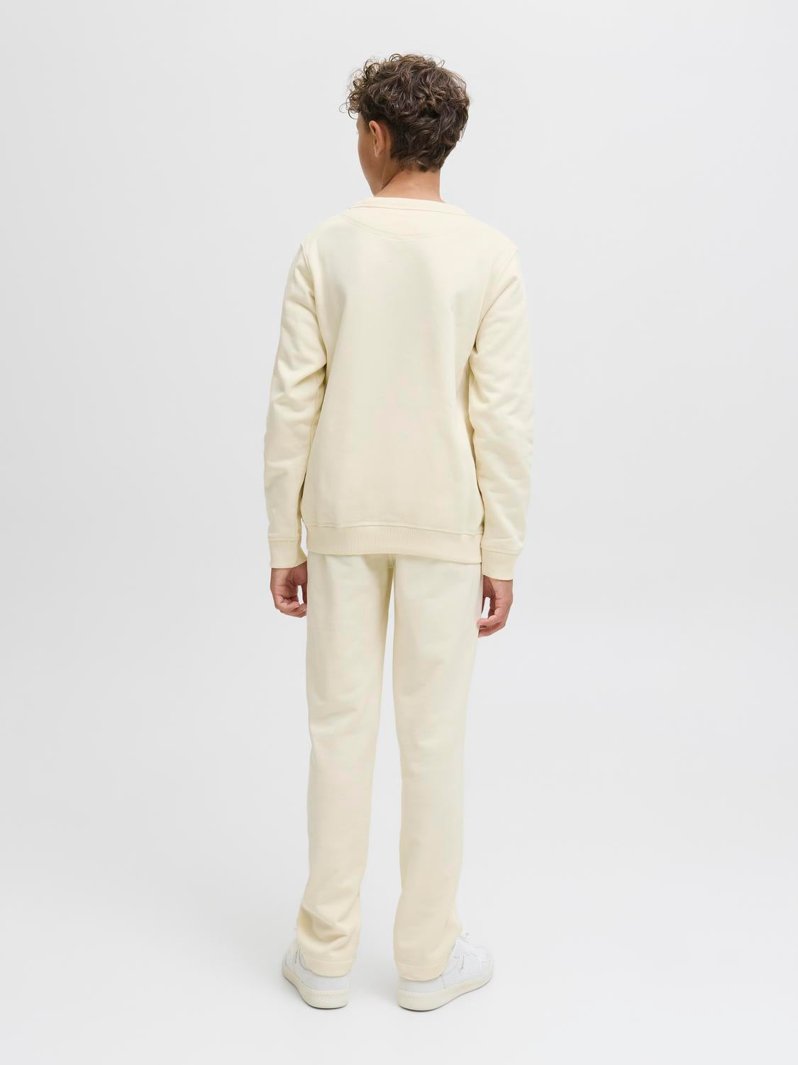 model_shot-back